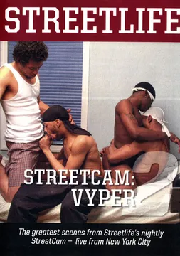 StreetCam: Viper 2