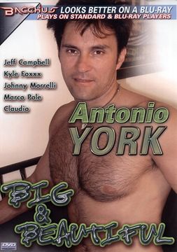Antonio York Big And Beautiful