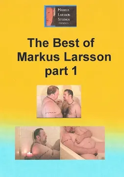 The Best Of Markus Larsson 2004