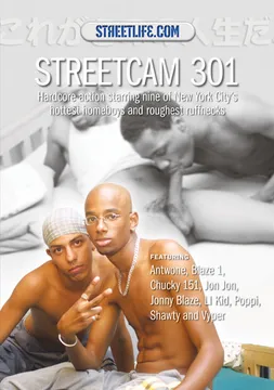 StreetCam 301
