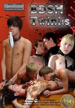 BDSM Twinks