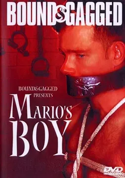 Mario's Boy