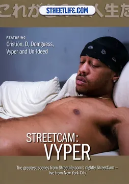 StreetCam: Viper
