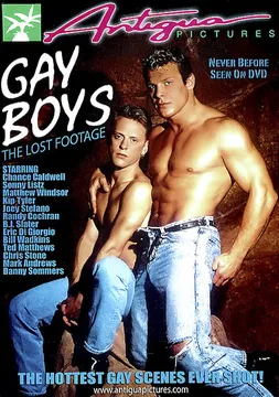 Gay Boys The Lost Footage