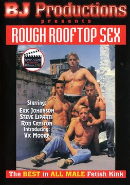 Rough Rooftop Sex