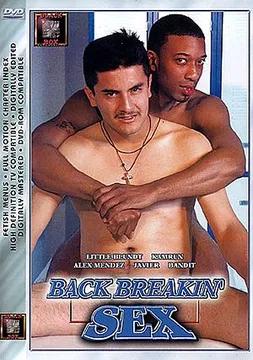 Back Breakin' Sex