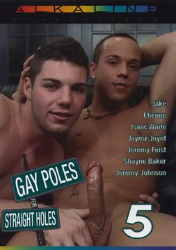 Gay Poles For Straight Holes 5