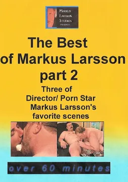 The Best Of Markus Larsson 2004  2